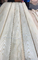OEM Madeira Branca de Ceniça Veneer Crown Cut 0,45 mm Espessura 2500m + comprimento